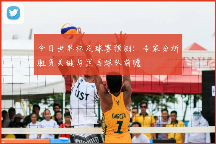 今日世界杯足球赛预测：专家分析胜负关键与黑马球队前瞻