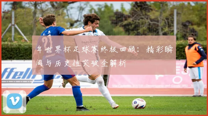 年世界杯足球赛终极回顾：精彩瞬间与历史性突破全解析
