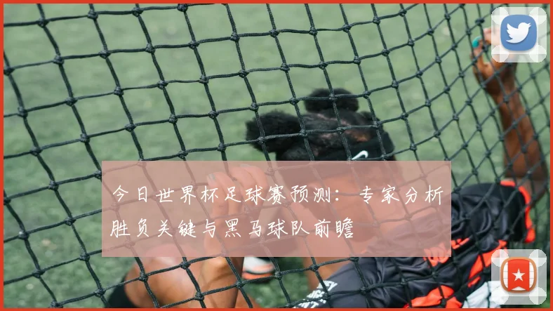 今日世界杯足球赛预测：专家分析胜负关键与黑马球队前瞻