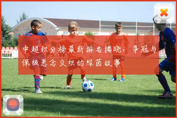 中超积分榜最新排名揭晓，争冠与保级悬念交织的绿茵故事