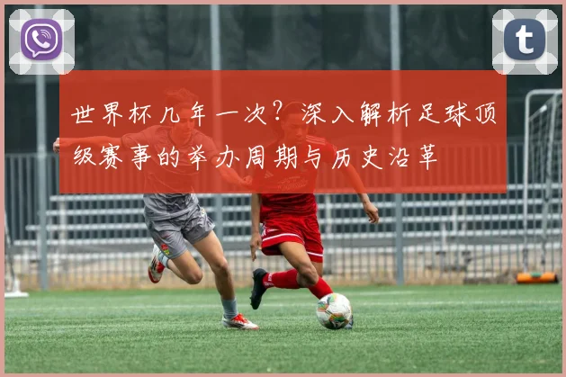 世界杯几年一次？深入解析足球顶级赛事的举办周期与历史沿革